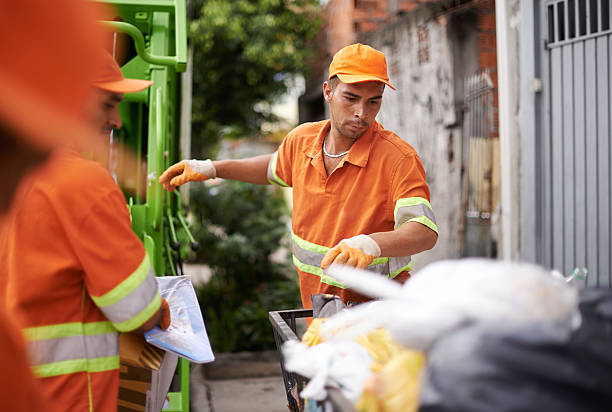 Best Office Junk Removal  in Hammonton, NJ